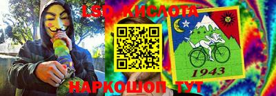 индика Можга