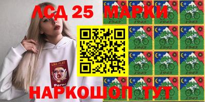 гашик Малгобек
