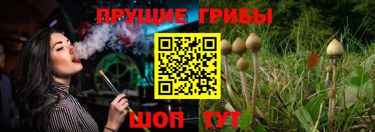 Владивосток  Галлюциногенные грибы GOLDEN TEACHER  Вход с VPN  Псилоцибиновые грибы MAGIC MUSHROOMS 
